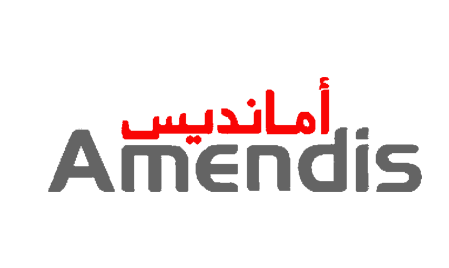 Amendis